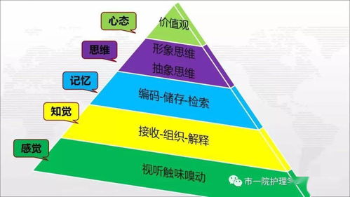 思維導(dǎo)圖在臨床管理與園區(qū)資產(chǎn)投資管理中的創(chuàng)新應(yīng)用